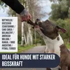 Supravit ChewDeer Hundespielzeug für starke Kauer Produktbild-Vorschau 9