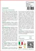SAFLAX  - Camomilla - 300 semi - Matricaria Anteprima dell’immagine prodotto 3