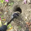 TRAVISESTRE PER GIARDINO 9x30 CM - PUNTA Anteprima dell’immagine prodotto 5