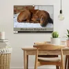 Rhodesian Ridgeback Augen-Blicke (Wandkalender 2027 DIN A3 Produktbild-Vorschau 3