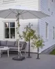 Girandola LED da esterno Olivec 20 LED Olivenzweig mit Anteprima dell’immagine prodotto 14