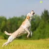 Relaxdays Ballschleuder für Hunde, 2er Set Ballwerfer, Produktbild-Vorschau 5