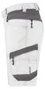 DASSY Arbeitsshorts AXIS PAINTERS Damen Gr. 38 Produktbild-Vorschau 5