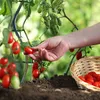Relaxdays – opaski do roślin, zestaw 200 sztuk, 23 cm, Podgląd zdjęcia produktu 3