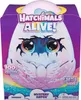 Kouzeln vajko Hatchimals Alive - Draci Náhled obrázku produktu 3