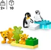 LEGO DUPLO Town Rodziny Dzikich Zwierząt: Pingwiny i Lwy, Podgląd zdjęcia produktu 3