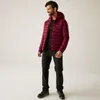 REGATTA Herren Steppjacke Hooded Marizion Produktbild-Vorschau 6
