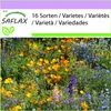 SAFLAX - horské lúky - Mix - 1000 Semená Náhľad obrázku produktu 4