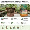 Blähton 4-8 mm, 4 l, Drainagegranulat für Topf- und Produktbild-Vorschau 2