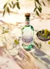 Villa Ascenti Gin Italienischer Gin Piemont | 41 % vol | Produktbild-Vorschau 6