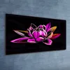 Coloray Bild aus Acryl 120 cm x 60 cm - Dekoration Produktbild-Vorschau 2