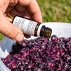 12 Liter FILTERBEUTEL + 10 ml PEKTINASE/Antigeliermittel Produktbild-Vorschau 2