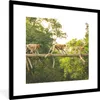 MuchoWow® Gerahmtes Poster Affen laufen auf Ast 40x40 cm - Produktbild-Vorschau 1