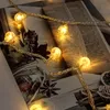 A string of warm white LED lights with spherical bulbs is draped over an open book, with decorative elements like dried fruit and cinnamon sticks. Náhled obrázku produktu