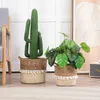 Pflanzkorb LINI 2er Set aus Seegras braun/natur - Übertopf, Produktbild-Vorschau 1