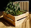 A wooden crate filled with plants sits on a wooden floor, with another crate in the background. Produktbild-Vorschau