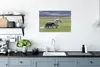MuchoWow® Poster Pferde - Fohlen - Braun 90x60 cm - Produktbild-Vorschau 3