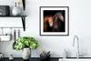 MuchoWow® Gerahmtes Poster Pferde - Tiere - Porträt - Braun Produktbild-Vorschau 4