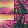 Bild auf Leinwand - Leinwandbild - Wiese Tulpen Produktbild-Vorschau 8