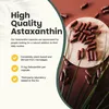 Astaxanthin-Kapseln 8 mg Produktbild-Vorschau 2