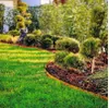 A manicured garden with a curved lawn edge and mulched flower beds. Produktbild-Vorschau