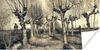 MuchoWow® Poster Pollard-Birken - Vincent van Gogh 120x60 Produktbild-Vorschau 1