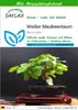 SAFLAX - Bonsai - Weißer Maulbeerbaum - 200 Samen - Mit Produktbild-Vorschau 1