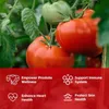 Licopene 100% Naturale Pomodoro 80 mg (120 capsule) Anteprima dell’immagine prodotto 7