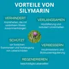 Berberin 500 mg Kapseln hochdosiert mit Silymarin und Produktbild-Vorschau 4