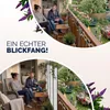 CASARIA® Paravent 4-teilig 180x163cm Weiß Produktbild-Vorschau 8