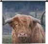 MuchoWow® Wandteppich Wandbehang Schottisches Hochlandrind Produktbild-Vorschau 1