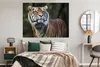 MuchoWow® Poster Tiger - Dschungel - Mantel 160x120 cm - Produktbild-Vorschau 5