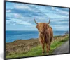 MuchoWow® MuchoWow® Gerahmtes Poster Schottisches Produktbild-Vorschau 1