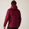 REGATTA Herren Steppjacke Hooded Marizion Produktbild-Vorschau 5