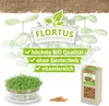 Keimsprossen Ruca-Salatrauke (200 g) |Keimsprossen von Produktbild-Vorschau 3