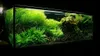 Sabbia per acquario, fondo nero basaltico 8 kg, Anteprima dell’immagine prodotto 8