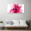 Tulup Leinwand-Bilder 100x50 Wandbild Canvas Kunstdruck Produktbild-Vorschau 3