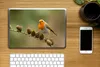 MuchoWow® Laptop Aufkleber Sticker Cover Vogel - Produktbild-Vorschau 2