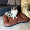 A dog is sitting on a brown dog bed in a room with a couch and a plant. Produktbild-Vorschau