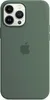 Apple Silicone Backcover MagSafe pour Apple iPhone 13 Pro Voir les images du produit 1