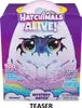 Kouzeln vajko Hatchimals Alive - Draci Náhled obrázku produktu 27