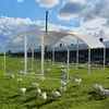 Izrielar 3x 4x 2m Hühnerstall Kuppeldach Tiergehege Produktbild-Vorschau 13