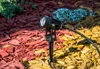 A black outdoor spotlight is placed in garden mulch, with red and yellow mulch visible in the foreground and green and blue foliage in the background. Anteprima dell’immagine prodotto