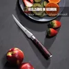 PAUDIN N15 Coltello da pomodoro 12,5 cm – Seghettato – Anteprima dell’immagine prodotto 14