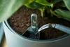 A close-up of a plant pot with a seedling growing in a water indicator, and water being poured into the pot. Náhled obrázku produktu