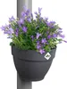 elho® Vibia campana Fallrohr Pflanzgefäß Anthrazit 22 cm - Produktbild-Vorschau 8