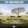 Strex Wildkamera - 16 MP HD 1080p | Nachtsichtkamera mit Produktbild-Vorschau 15