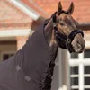 A close-up of a horse wearing a black halter and a black blanket. Anteprima dell’immagine prodotto