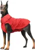 Regenmantel Hunderegenmäntel, wasserdichte Jacke für Produktbild-Vorschau 1