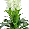 Levkoje Matthiola Kunstpflanze Künstliche Pflanze 100 cm Produktbild-Vorschau 4
